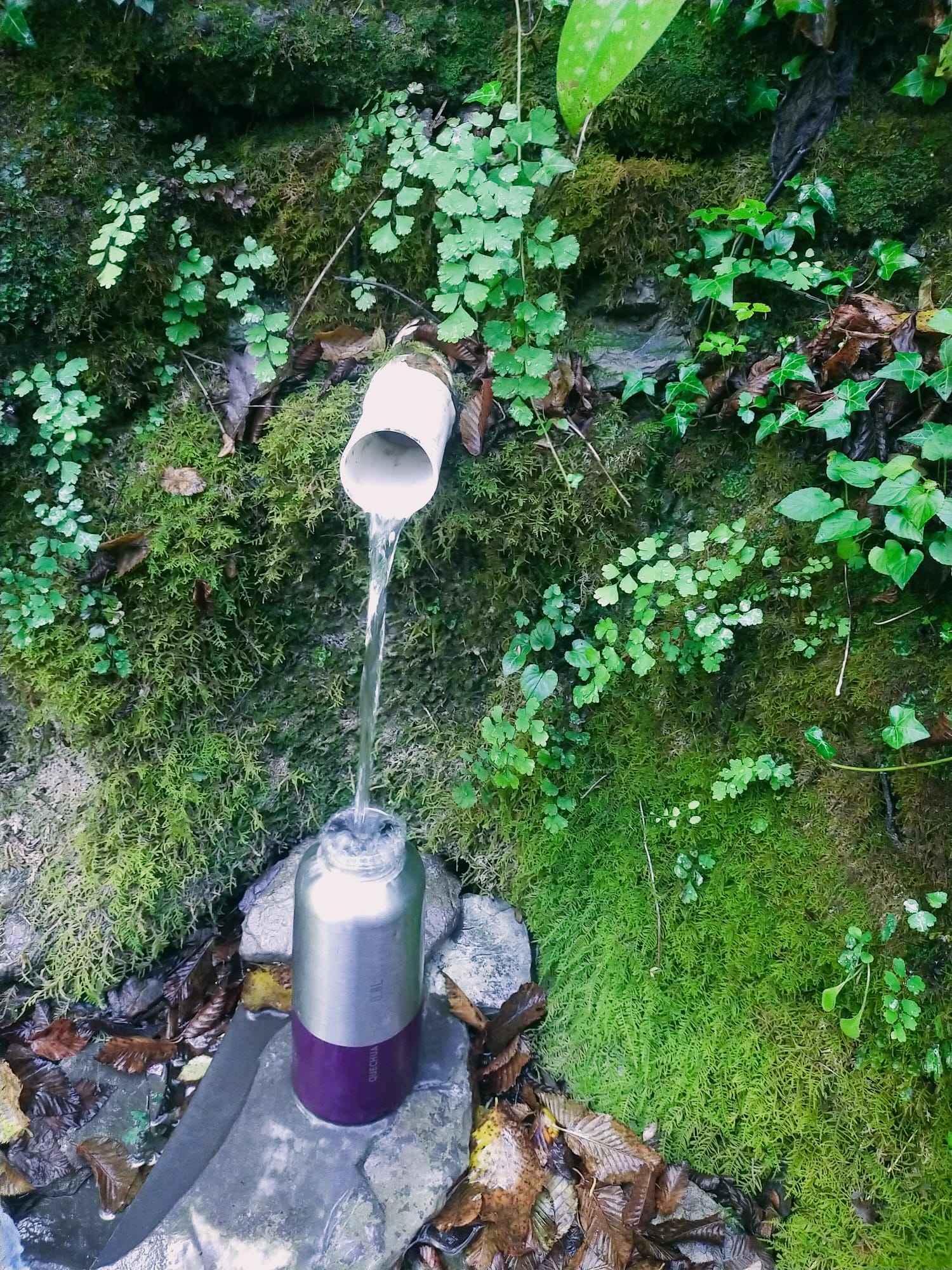 Kaltes, klares Wasser